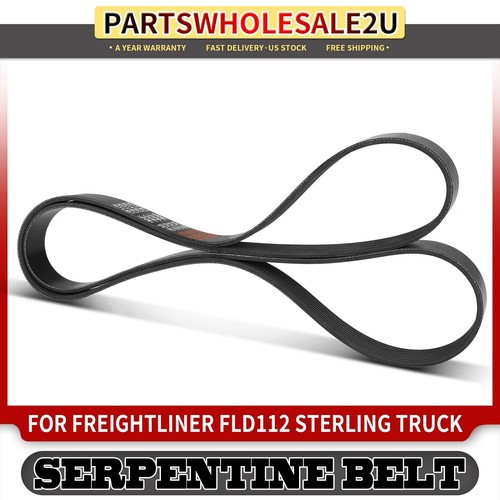 Serpentine belt for - 78.02",